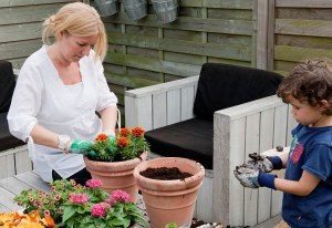 website planten in potten met potgrond